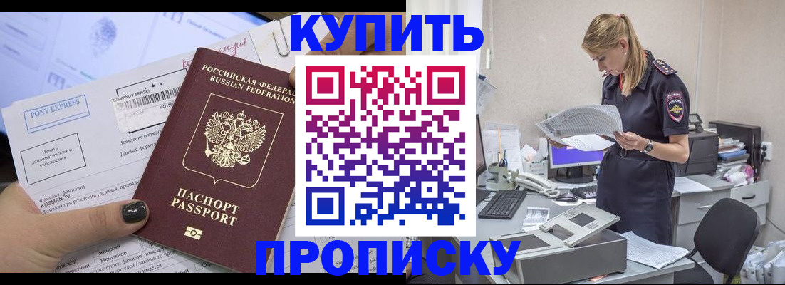 временная регистрация поиск в Павловске